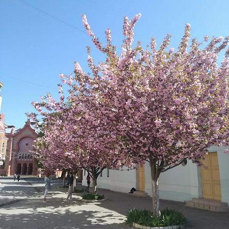 Затишна Двокімнатна Квартира В Самому Серці Ужгорода Użhorod Zewnętrze zdjęcie