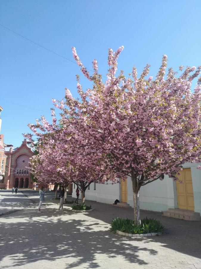 Затишна Двокімнатна Квартира В Самому Серці Ужгорода Użhorod Zewnętrze zdjęcie